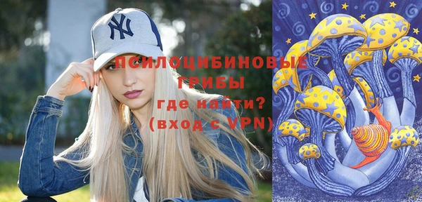 мет Арсеньев
