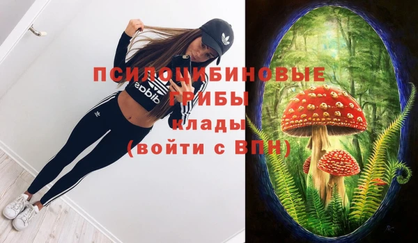 тгк Аркадак