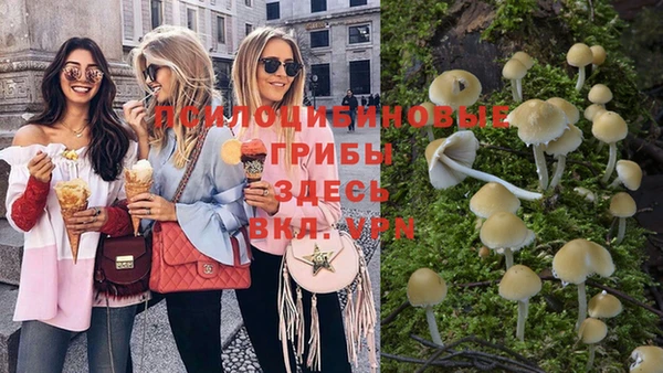 тгк Аркадак